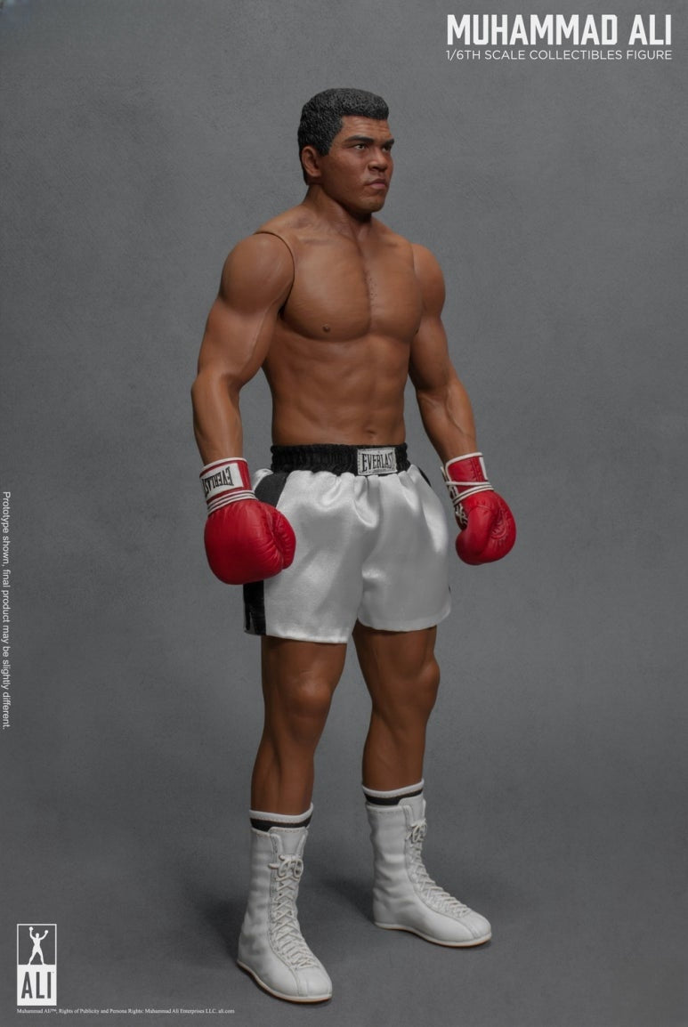 Die große Boxer-Actionfigur 