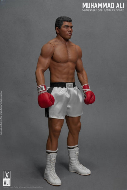 Die große Boxer-Actionfigur 