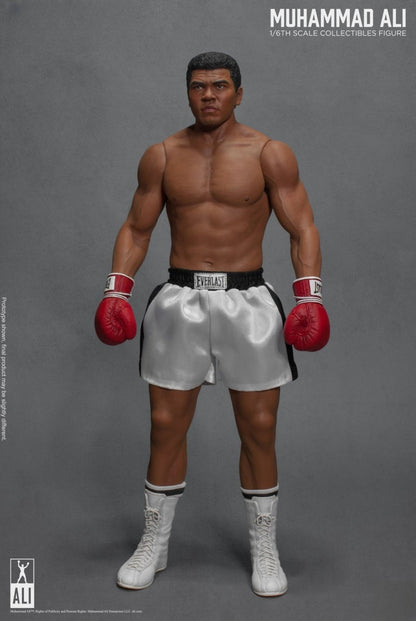 Die große Boxer-Actionfigur 