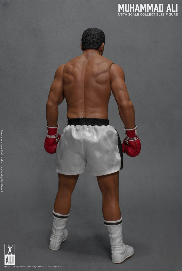 Die große Boxer-Actionfigur 