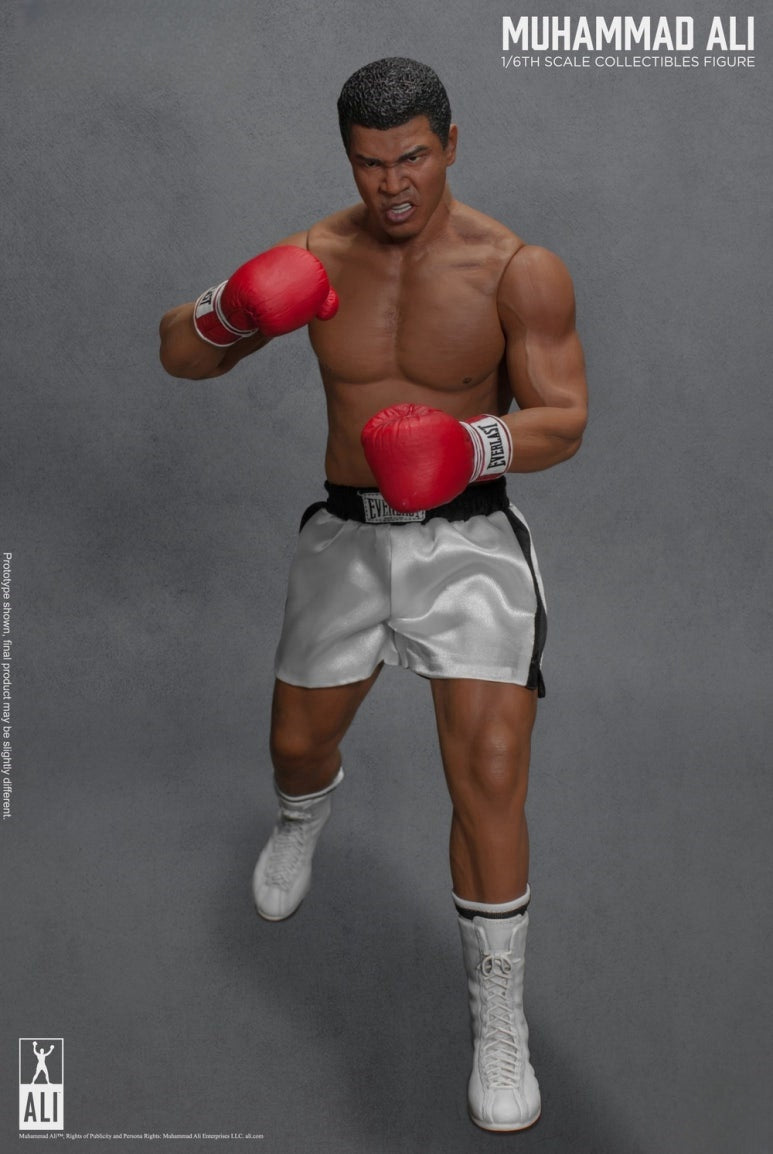 Die große Boxer-Actionfigur 