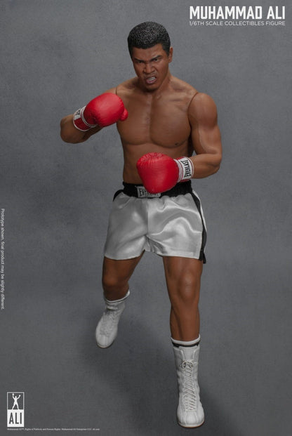 Die große Boxer-Actionfigur 