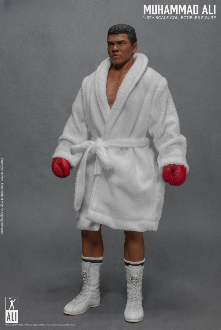 Die große Boxer-Actionfigur 