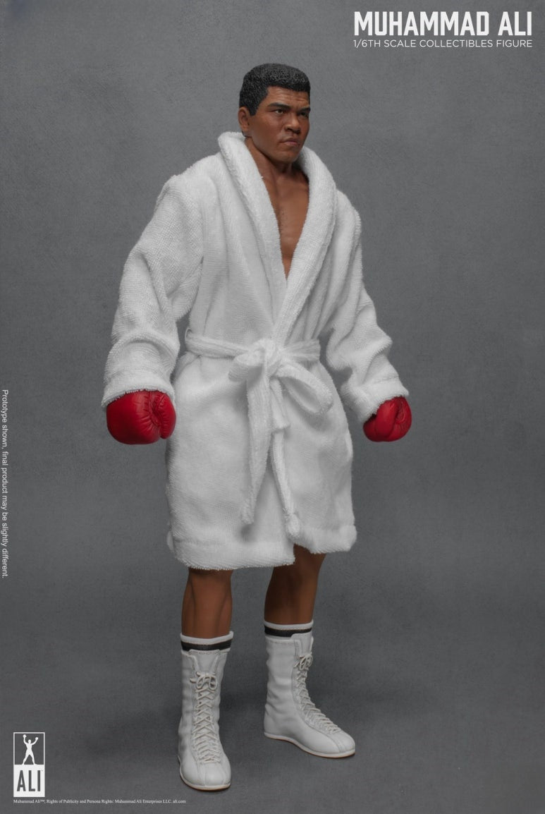 Die große Boxer-Actionfigur 