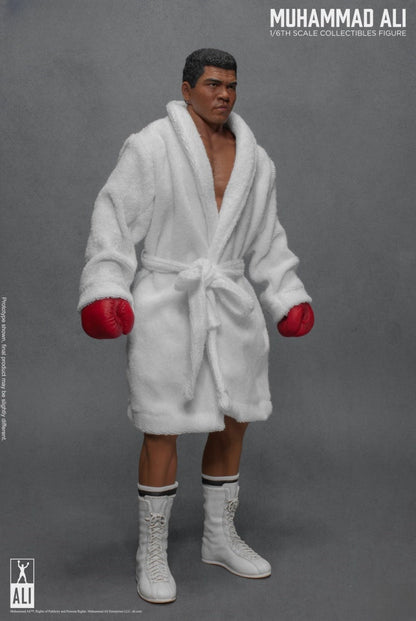 Die große Boxer-Actionfigur 
