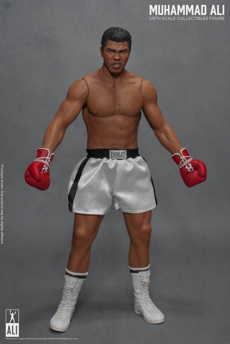 Die große Boxer-Actionfigur 