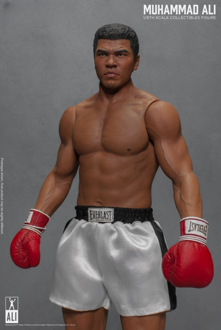Die große Boxer-Actionfigur 