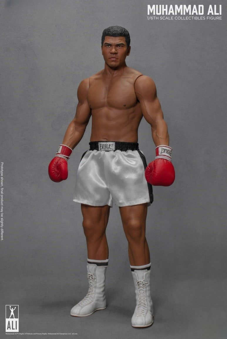 Die große Boxer-Actionfigur 