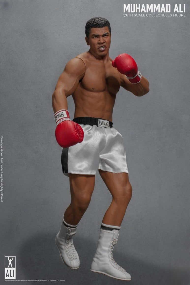 Die große Boxer-Actionfigur 