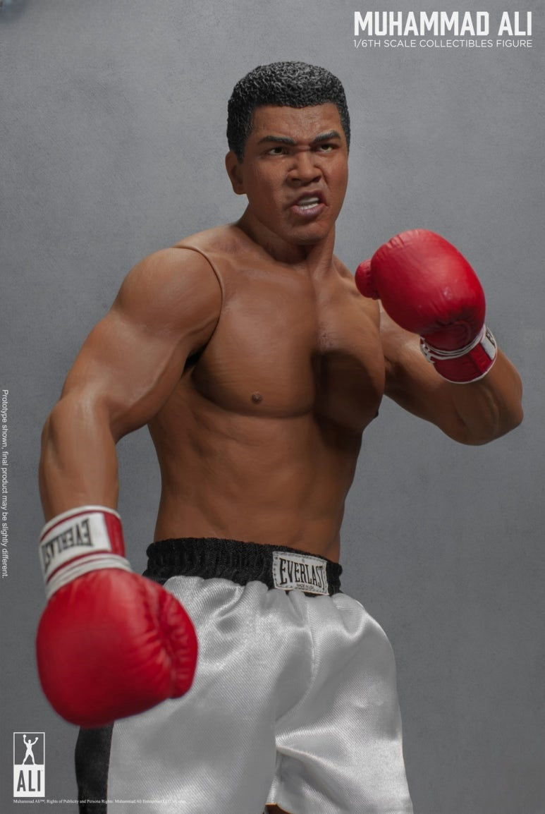 Die große Boxer-Actionfigur 