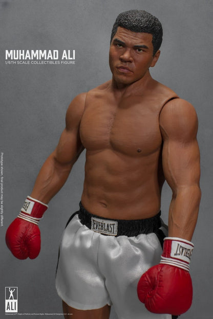 Die große Boxer-Actionfigur 