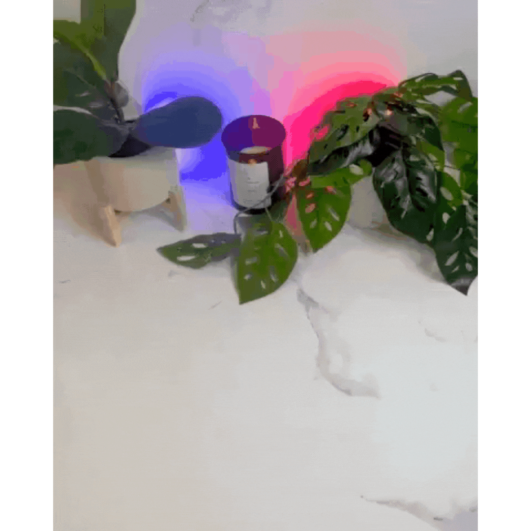 PureAir Rauchentferner