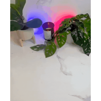 PureAir Rauchentferner