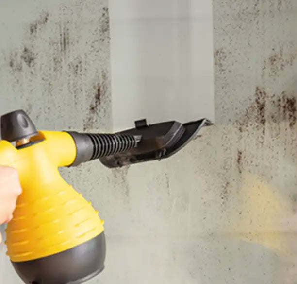 All-in-One Steam Cleaner